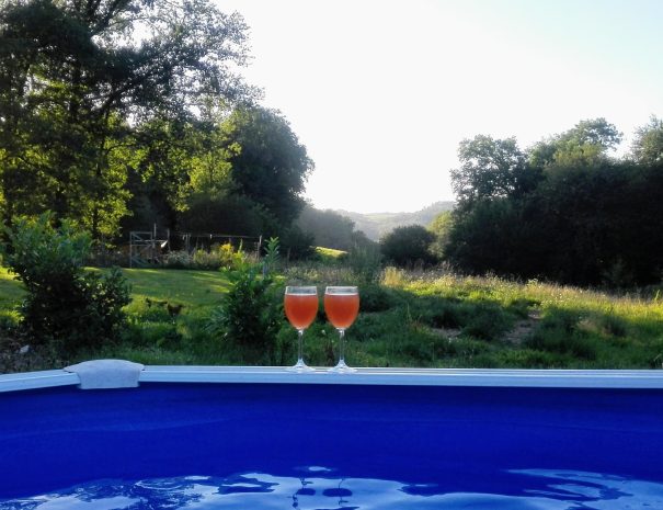 fermedelalisiere-home-swimming-pool-view-drinks