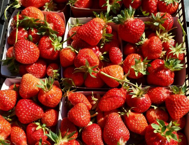 fermedelalisiere-the-market-garden-strawberries-for-sale